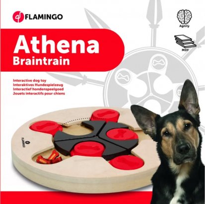 Wooden brain train athena